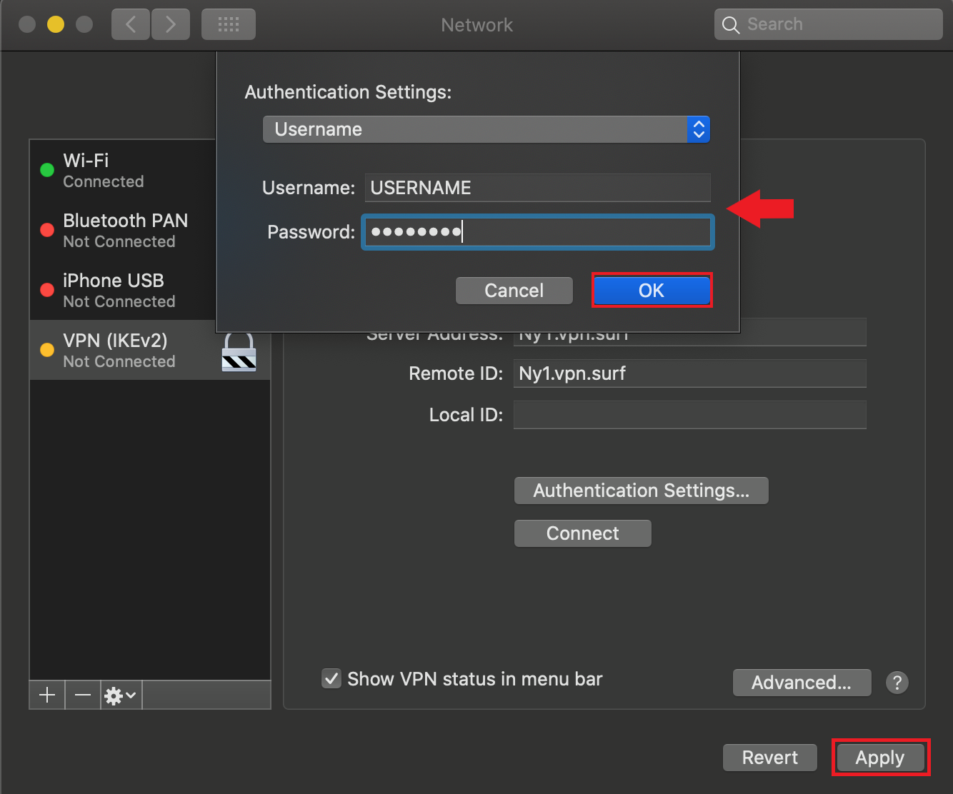 Setting the authentication settings and activating the VPN